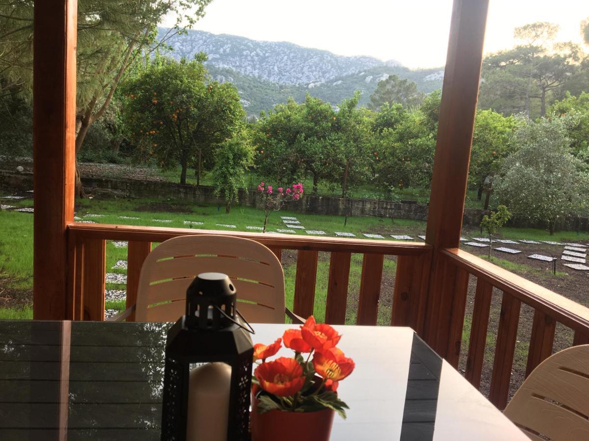 Apartmán Seker Bungalov Çıralı Exteriér fotografie