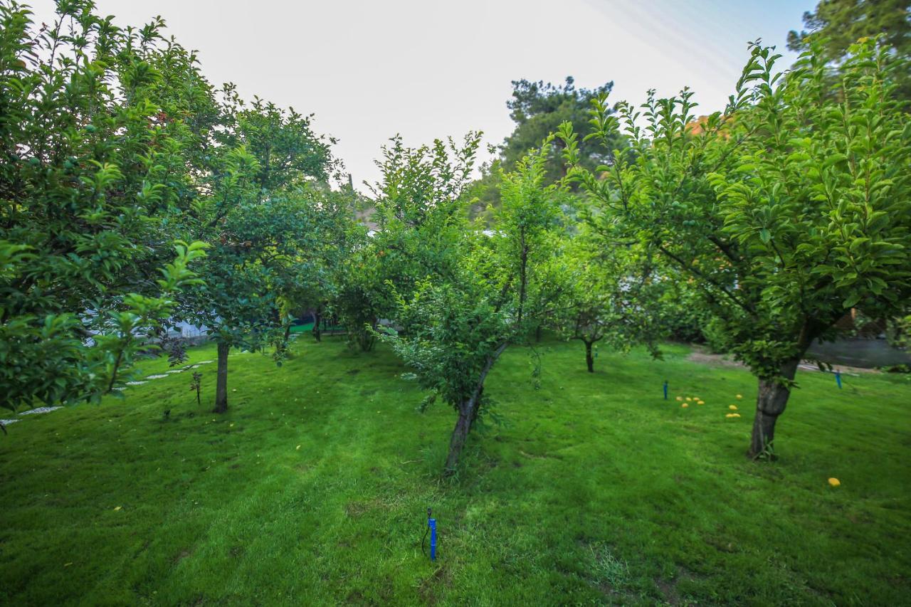 Apartmán Seker Bungalov Çıralı Exteriér fotografie