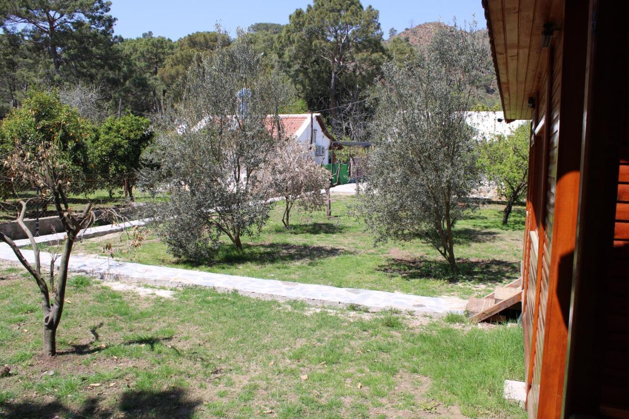 Apartmán Seker Bungalov Çıralı Exteriér fotografie
