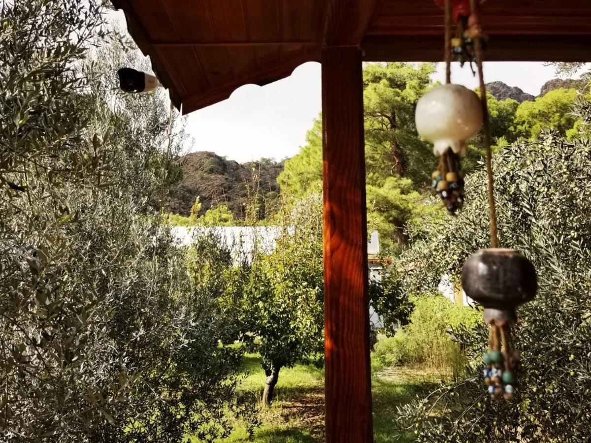 Apartmán Seker Bungalov Çıralı Exteriér fotografie