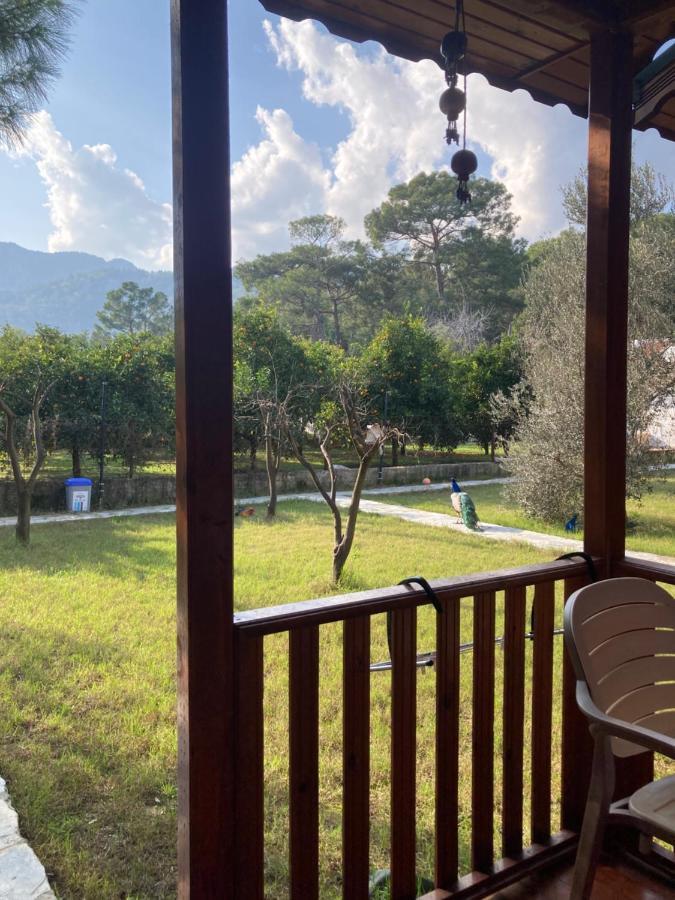 Apartmán Seker Bungalov Çıralı Exteriér fotografie